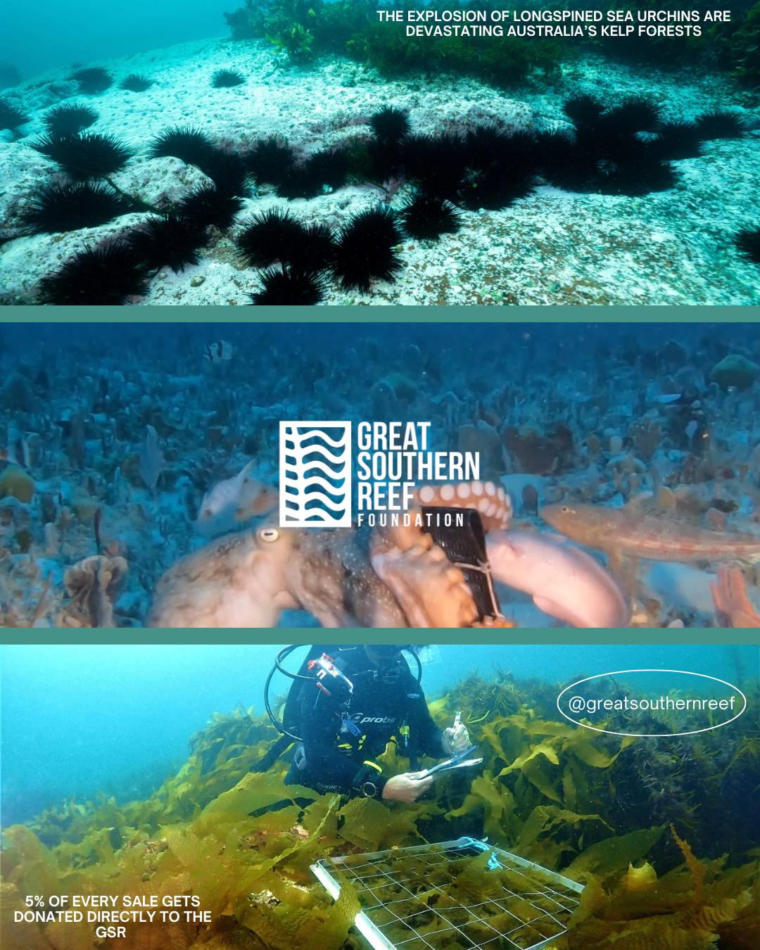 Great Southern Reef Foundation
