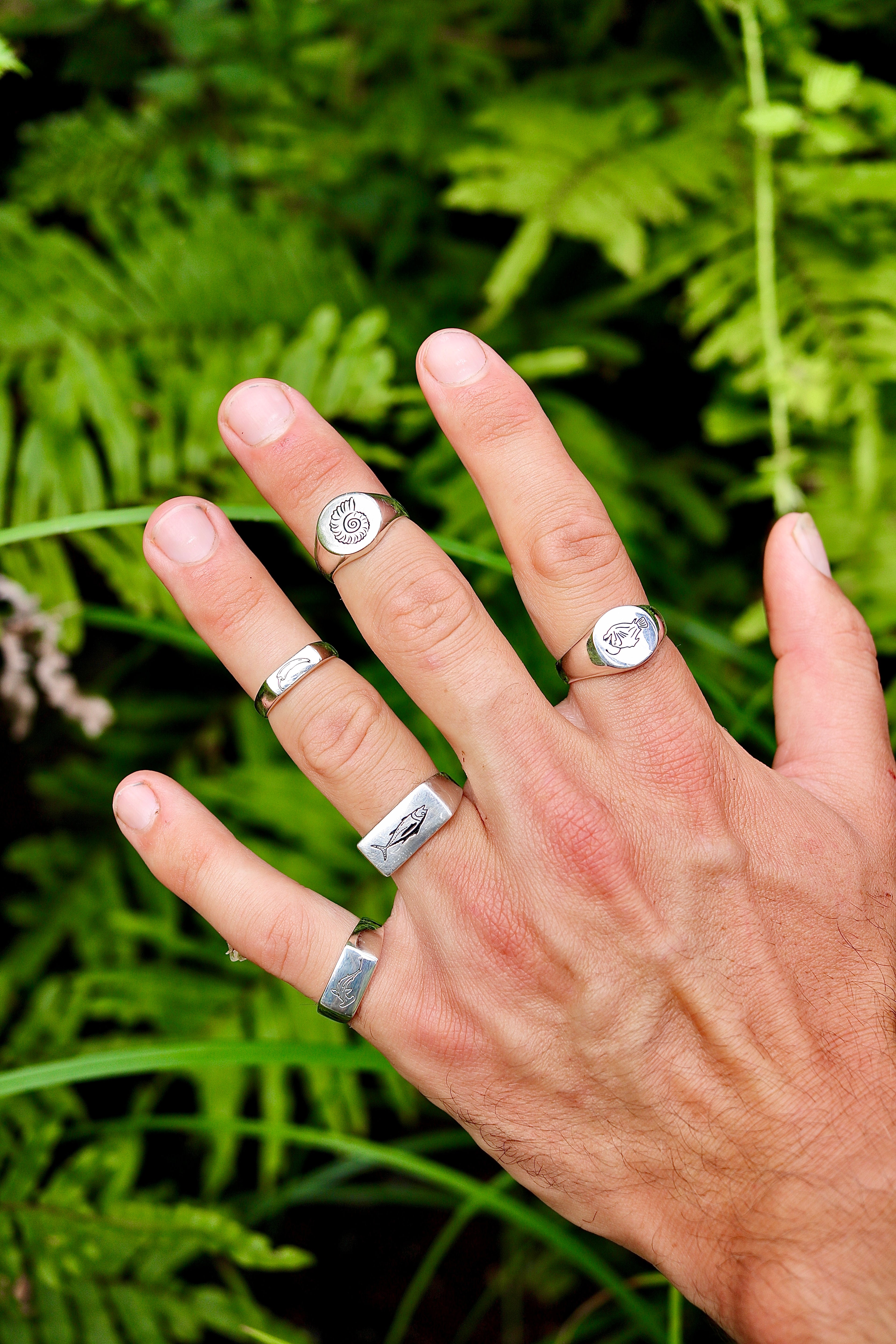 Hammerhead Shark